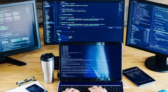 Software development force