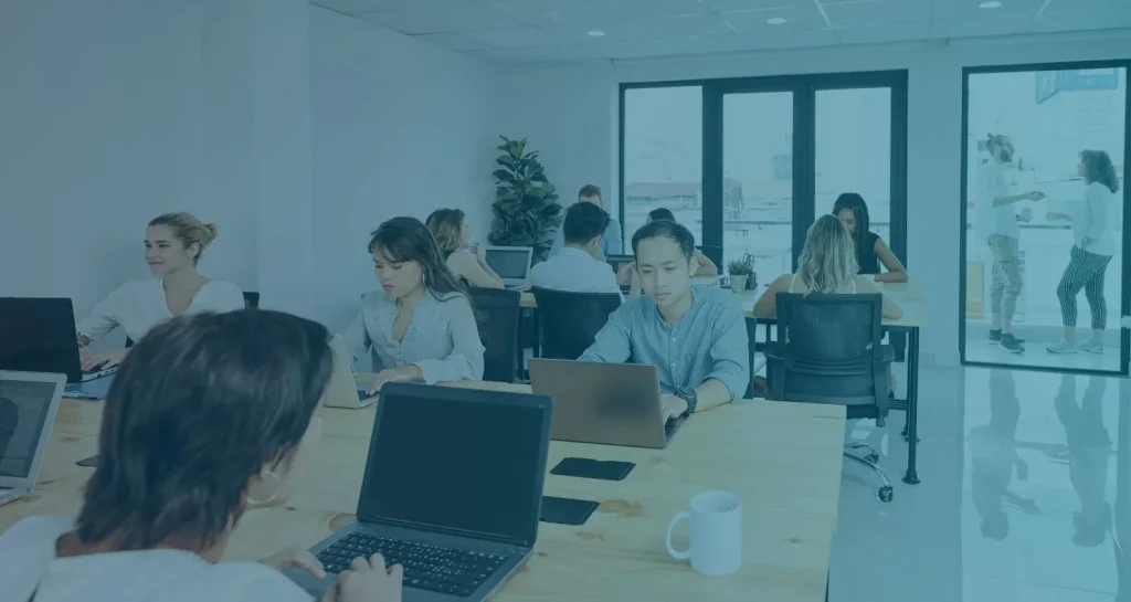 Team working in office having laptop